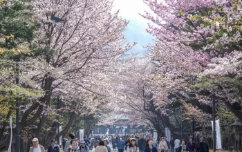 People visiting during the Osaka cherry blossom festival