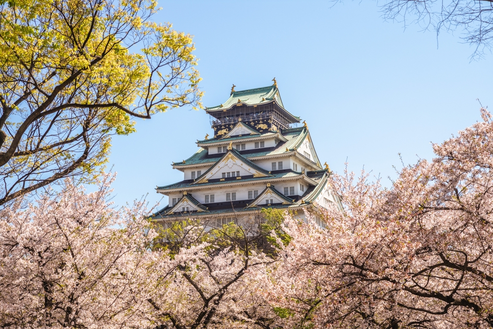 Spring Blossom at Osaka Castle