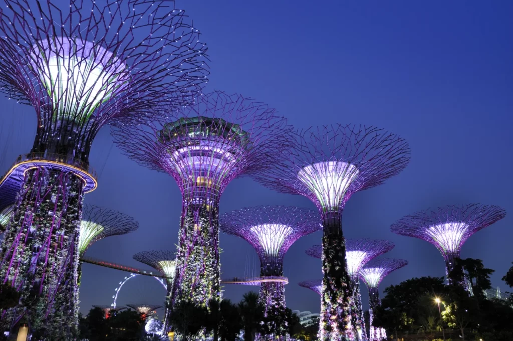 Gardens By The Bay Supertree Grove lights up at night