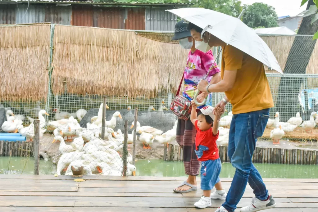a tourist family visiting a local zoo in Singapore near their Sentosa Hotel in Singapore